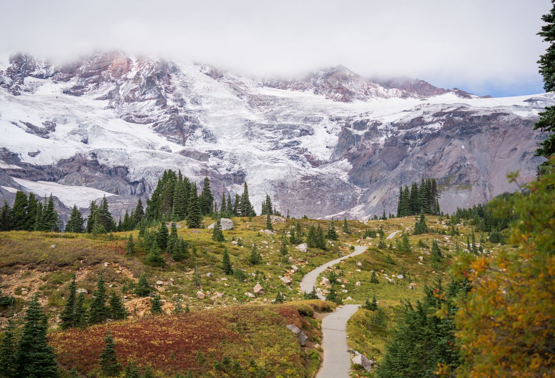 Changing Employers on an O-1 Visa: The Full Process